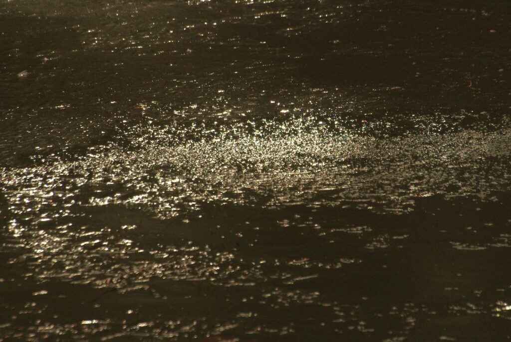 富山ゆたか撮影：氷る池