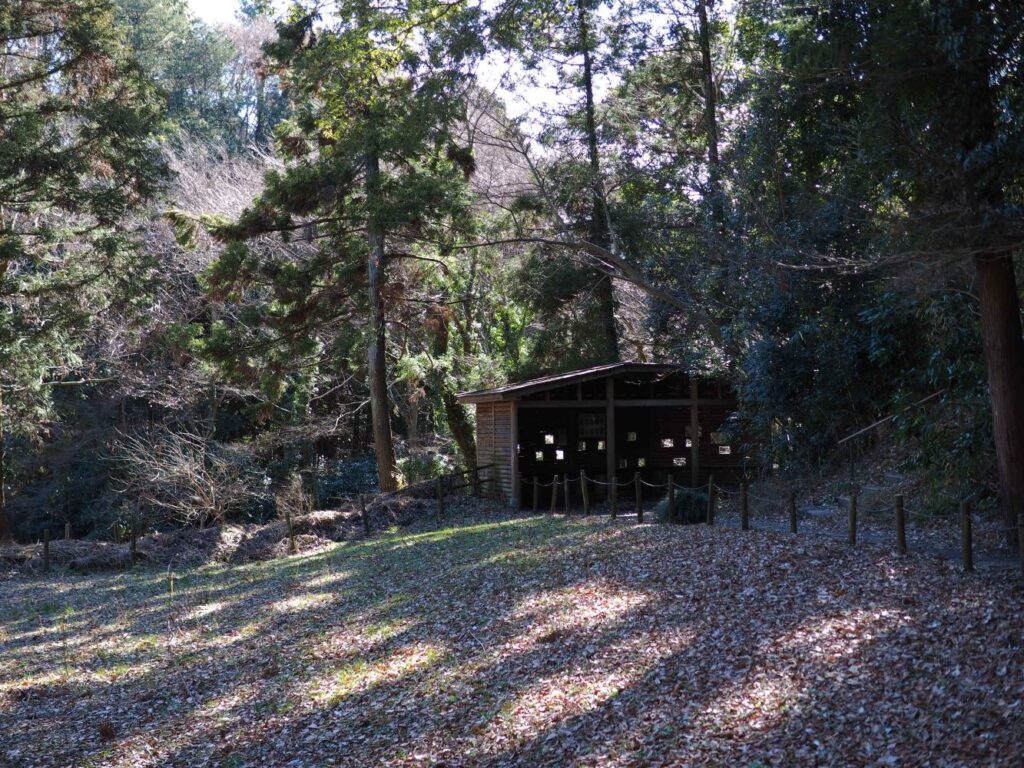 富山ゆたか撮影：観察小屋