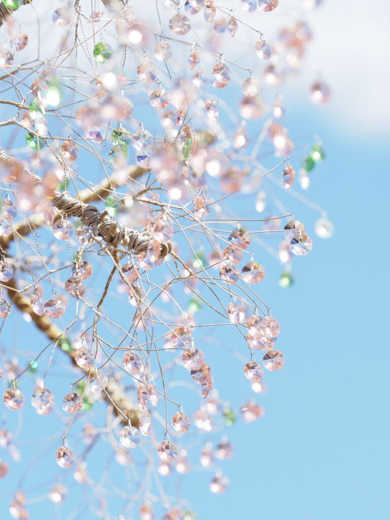 井上深空撮影：箱根ガラスの森美術館のガラスの桜