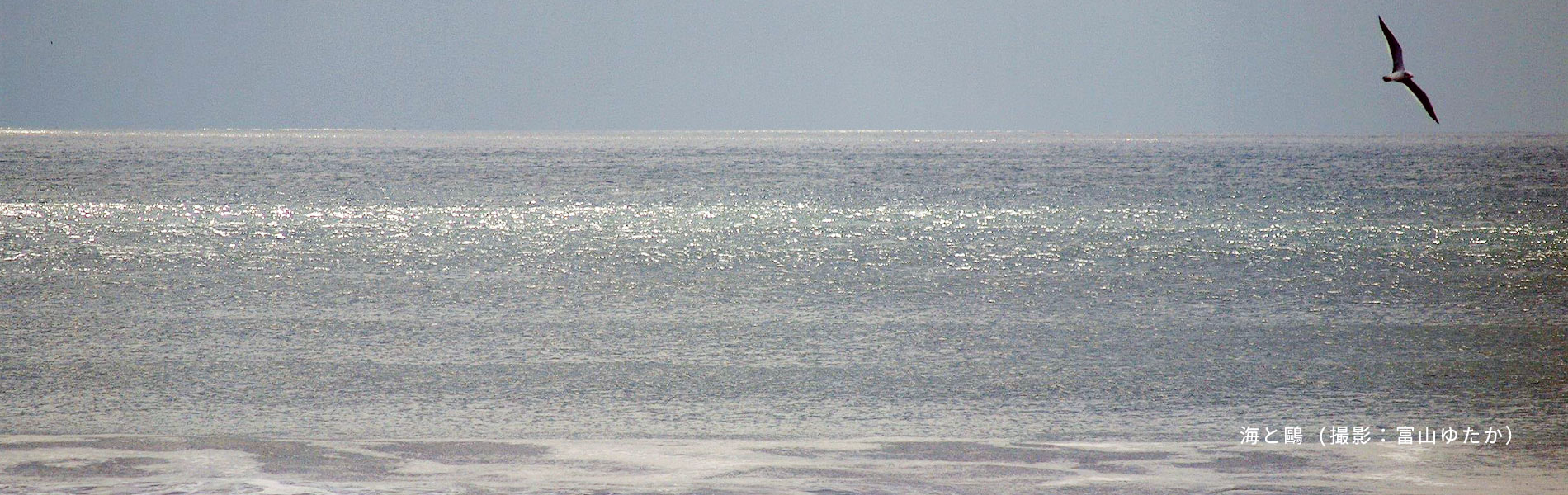 2026初日（撮影：富山ゆたか）