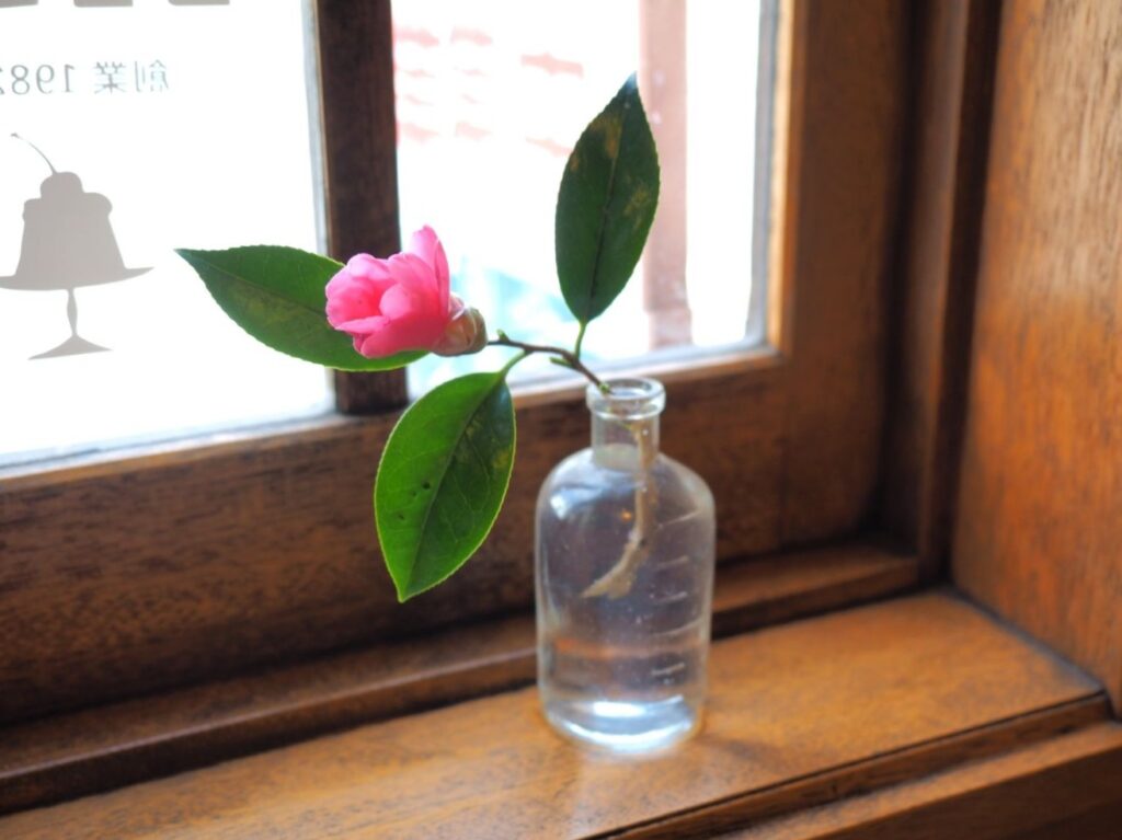 富山ゆたか撮影：侘助