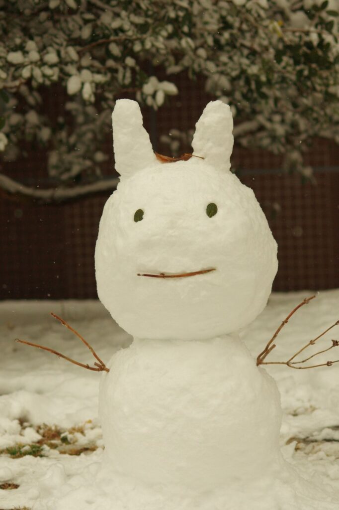 富山ゆたか撮影：雪だるま２