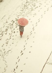 富山ゆたか撮影：雪の朝