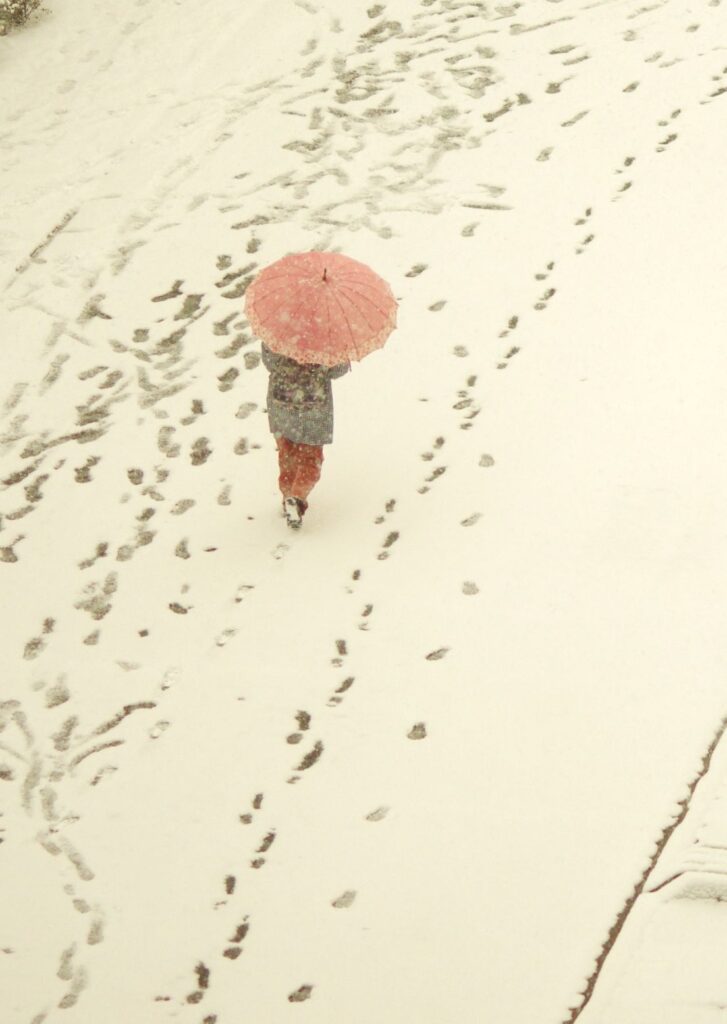 富山ゆたか撮影：雪の朝