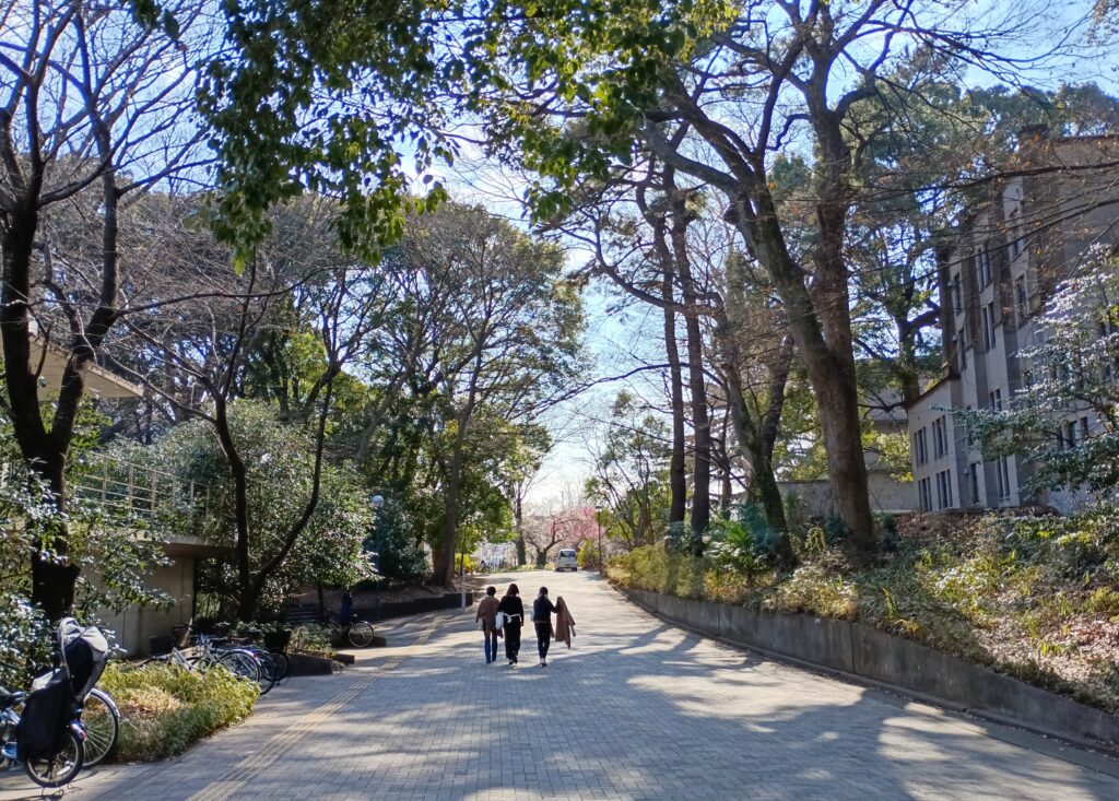 富山ゆたか撮影：駒場東大構内