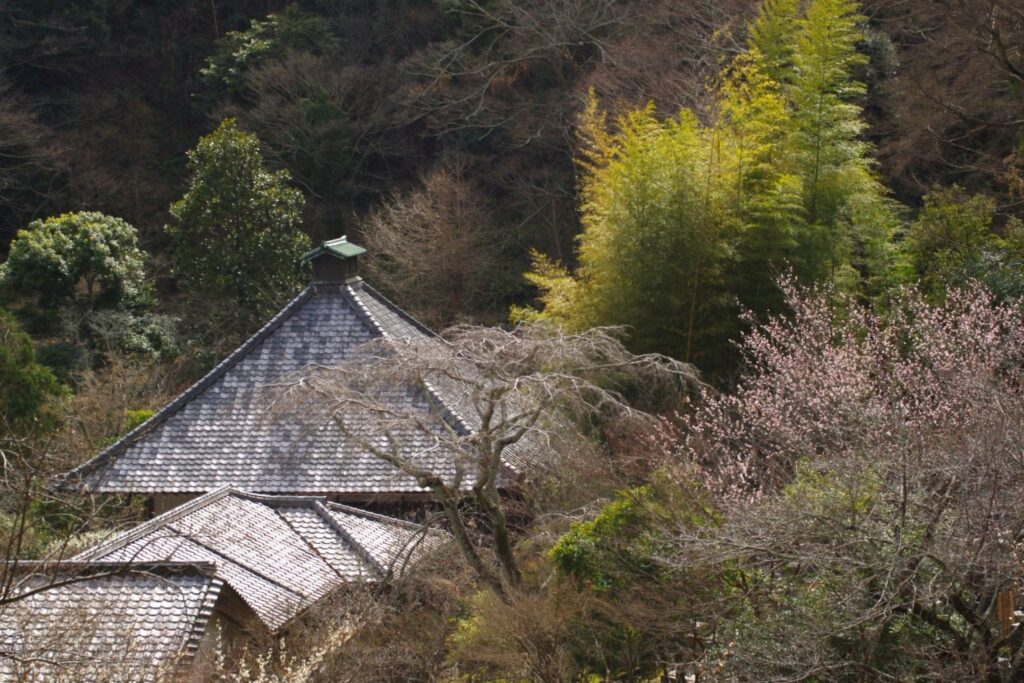 富山ゆたか撮影：鎌倉光則寺
